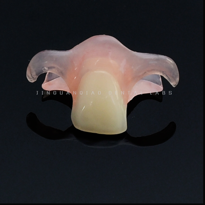 Buy Valplast Flexible Denture Invisible Base Similar Natural Gum Color Persistent Color Change online manufacture