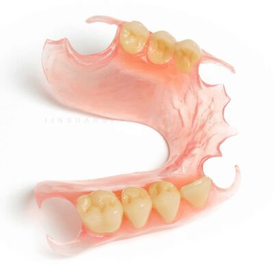 Valplast Flexible Removable Dentures Aesthetically Dental Prosthesis ...